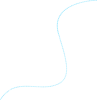 wordpress development services curve line shape image