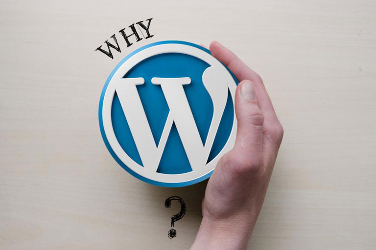 WordPress Development Services – 2025